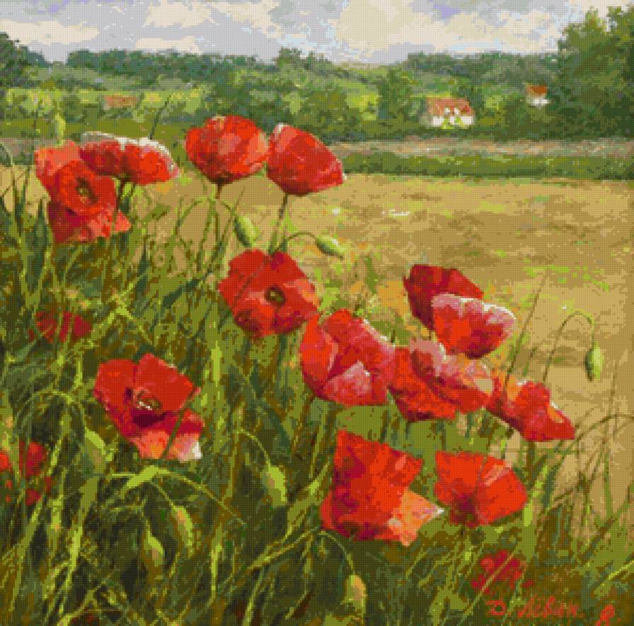 маки - цветы - предпросмотр