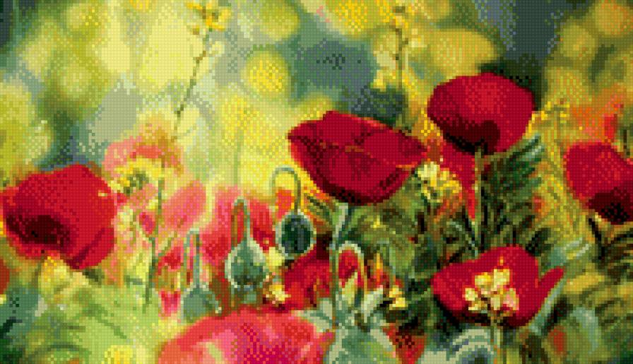 маки - цветы - предпросмотр