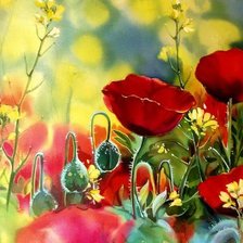 Схема вышивки «маки»