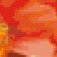 Предпросмотр схемы вышивки «маки» (№920159)