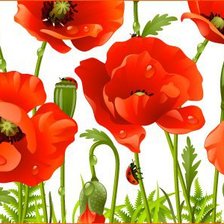 Схема вышивки «маки»