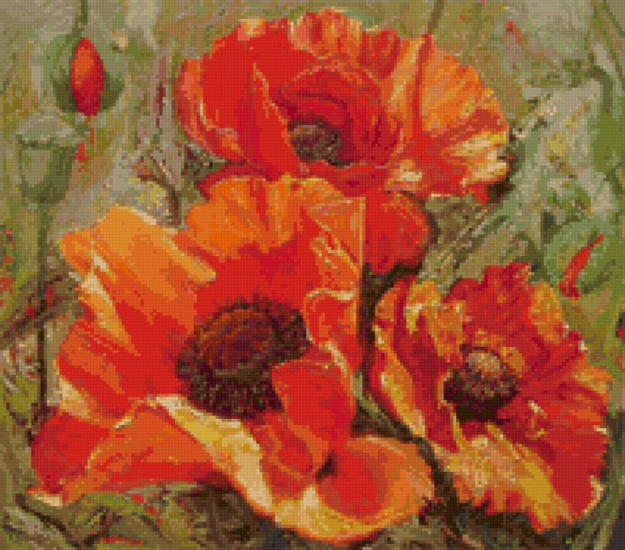 маки - цветы - предпросмотр