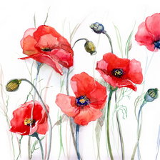 Схема вышивки «маки»