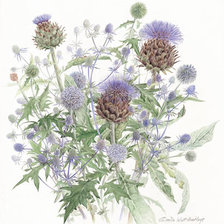 Схема вышивки «чертополох и синеголовник»