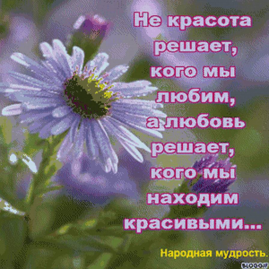 Народная мудрость - мысли, любовь, мудрость - предпросмотр