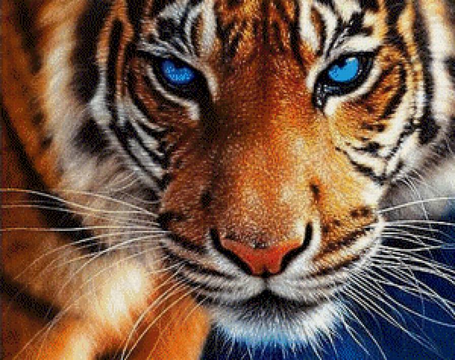 тигр1 - предпросмотр
