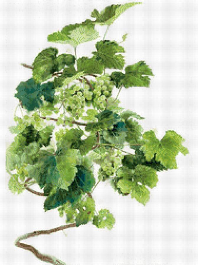 №920505 - предпросмотр