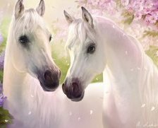 Схема вышивки «пара кони»