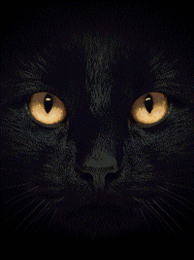 черный кот - коты, кот - предпросмотр