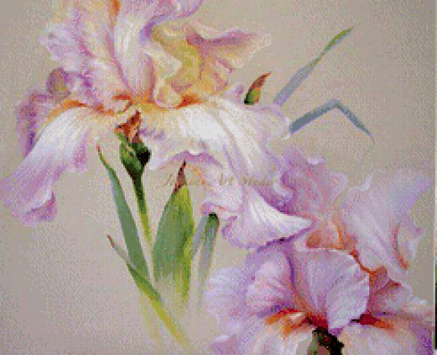 №921037 - цветы - предпросмотр