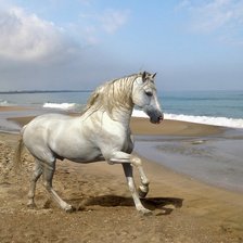 Схема вышивки «Лошадь на берегу»