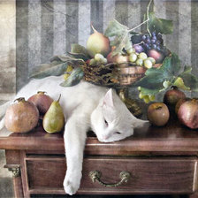 Схема вышивки «натюрморт»