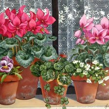 Схема вышивки «№921451»