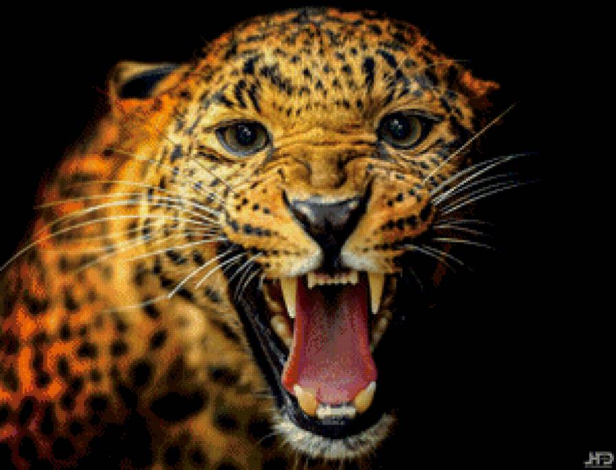 ягуар - предпросмотр