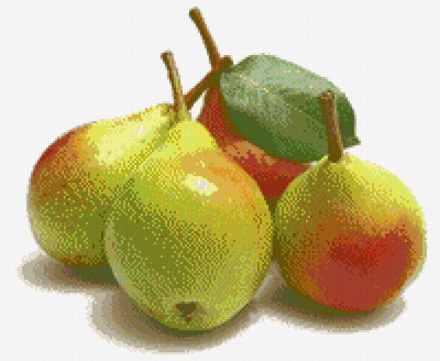 Грушы - предпросмотр