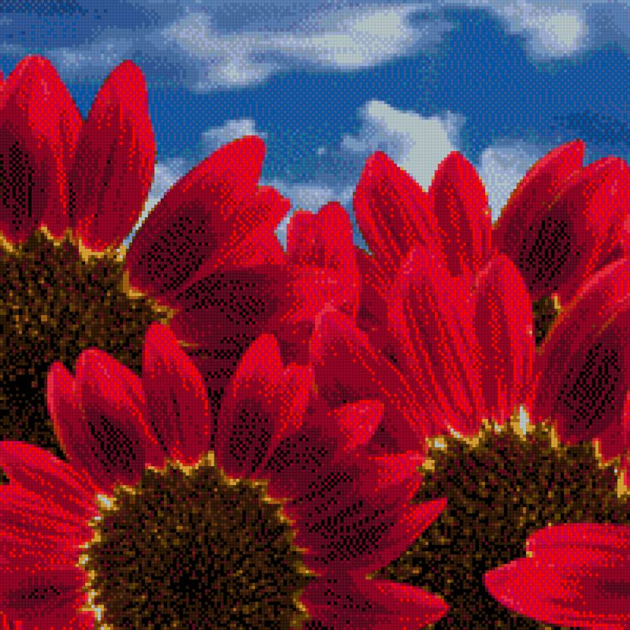 Особливі квіти - предпросмотр