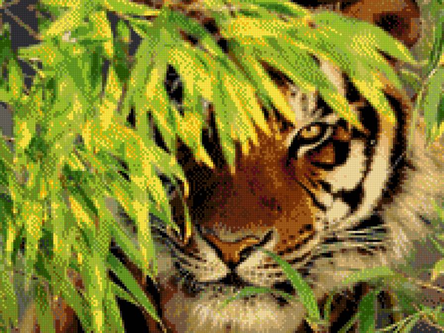 Тигр - предпросмотр