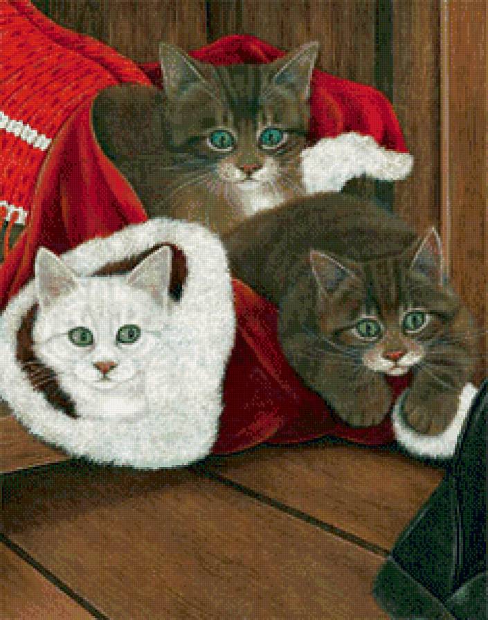 красавчики - кот, коты - предпросмотр