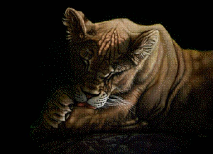 кошечка - предпросмотр