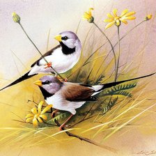 Оригинал схемы вышивки «пара птиц в цветах» (№922073)