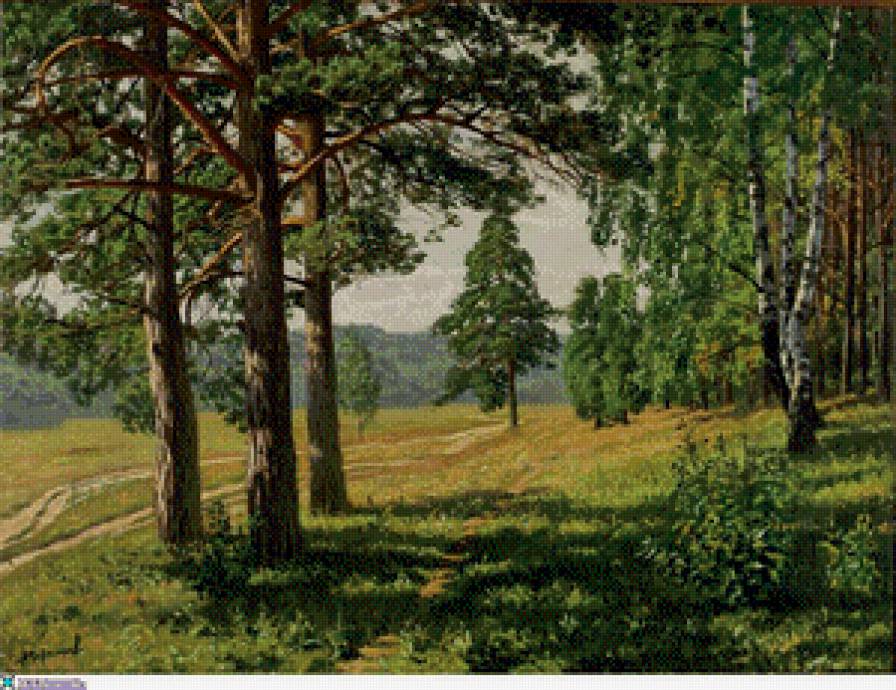 Сосновый лес - природа, пейзажи, лето - предпросмотр