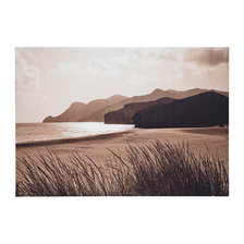 Схема вышивки «Песчаный берег»