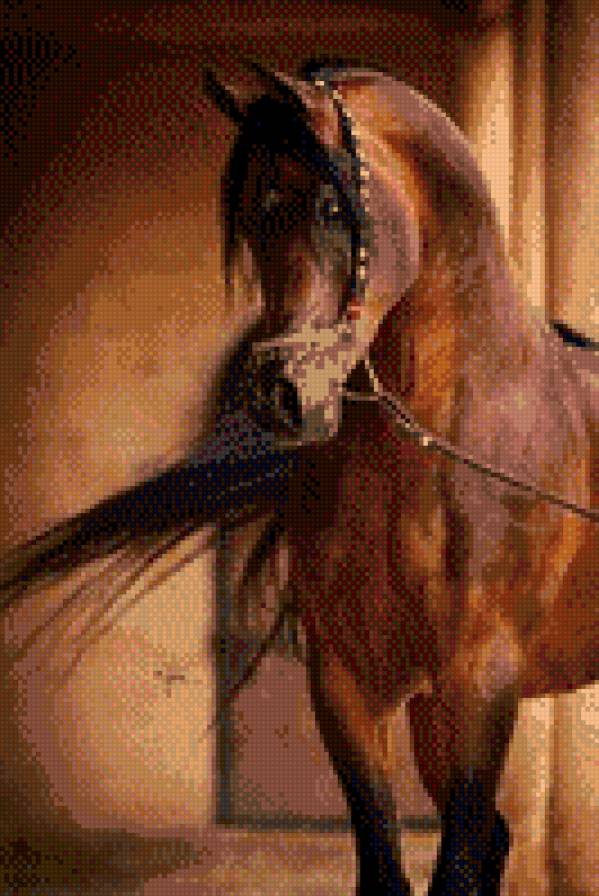 Лошадь - лошадь, красавица, животное, грива - предпросмотр