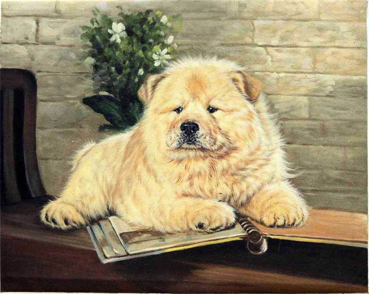 собака - порода, собака - оригинал