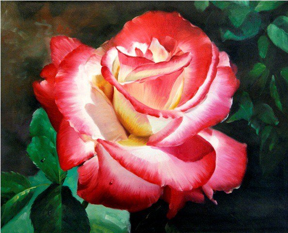 одинокая роза - роза - оригинал