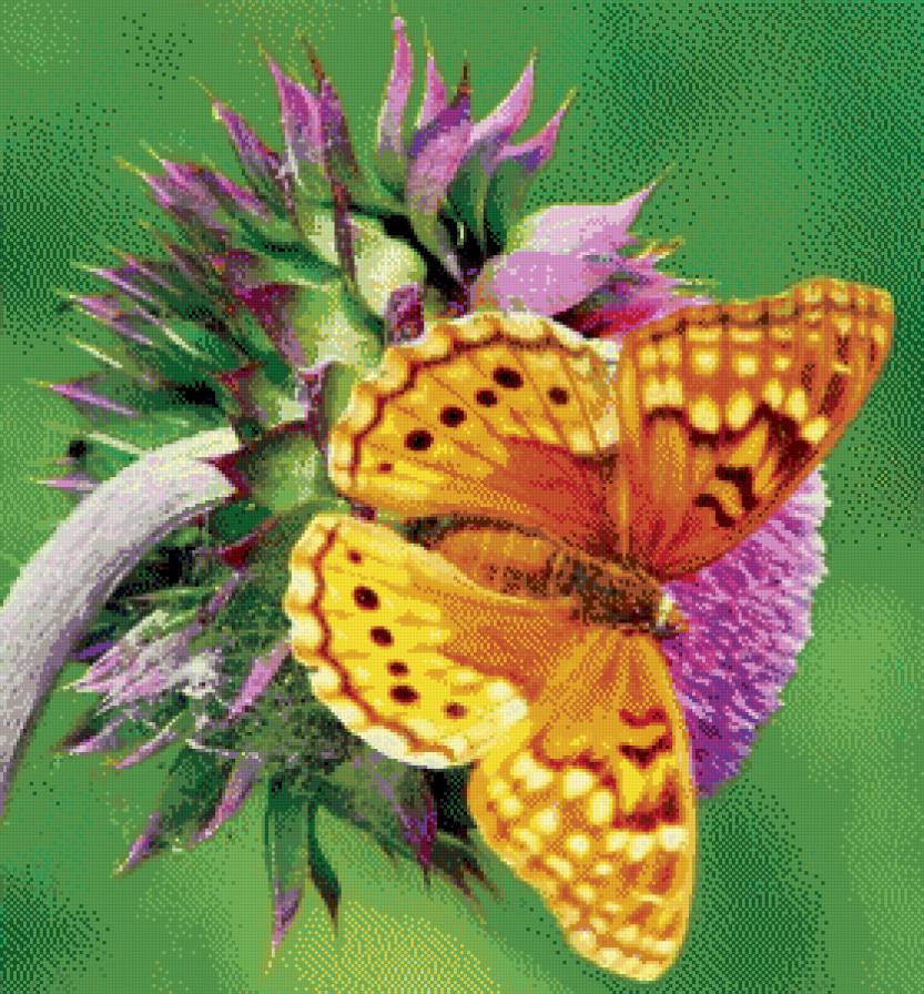 серия "бабочки" - бабочка.цветы - предпросмотр