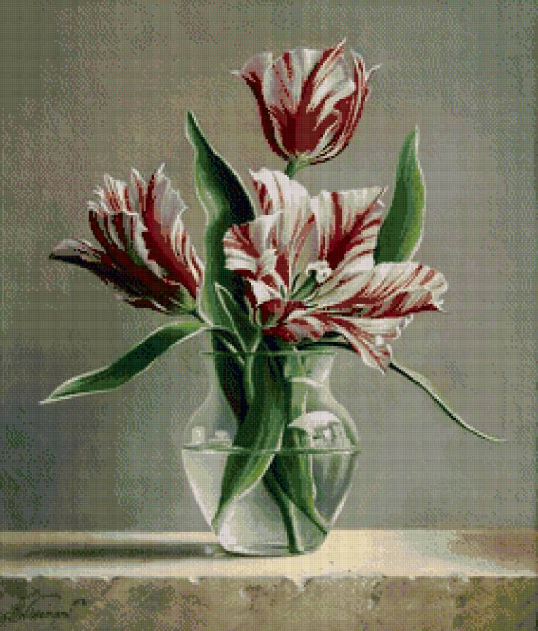 Тюльпаны - цветы, тюльпаны - предпросмотр