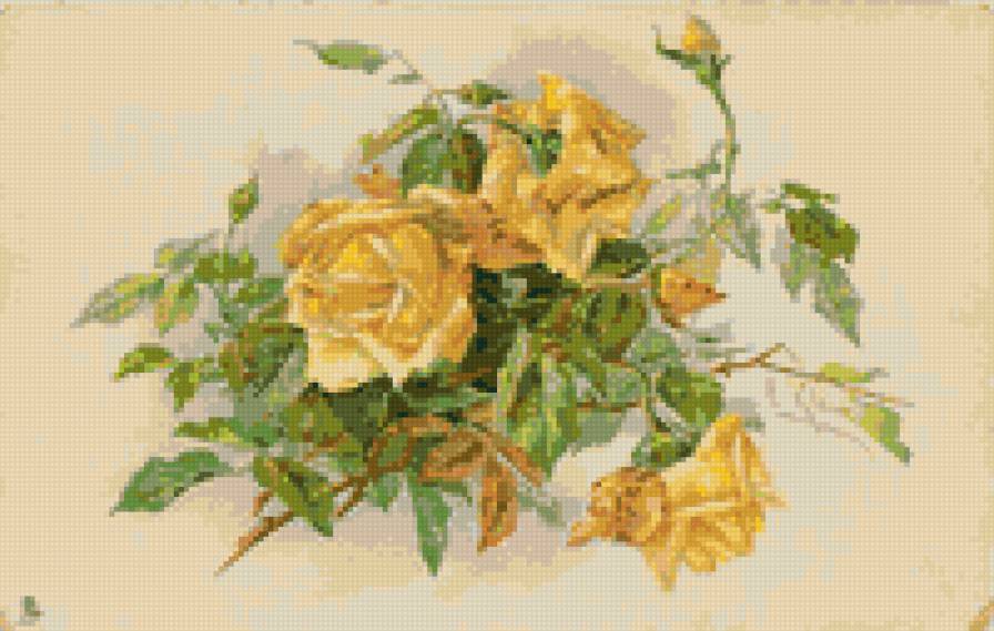 роза4 - цветы, роза - предпросмотр