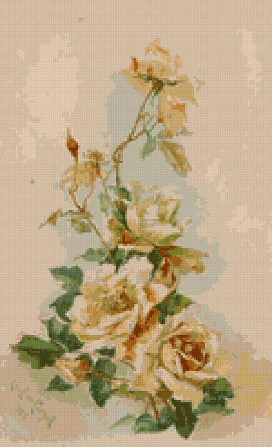 цветы - цветы - предпросмотр