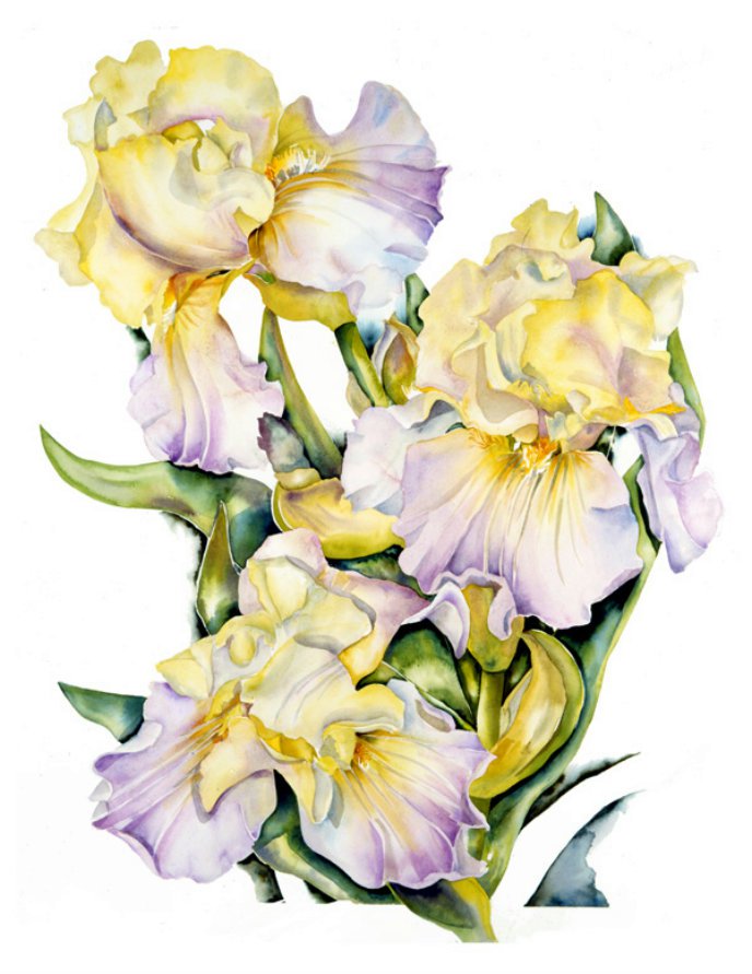 цветы - цветы - оригинал