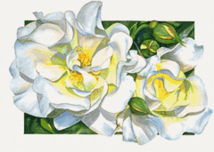 цветы - цветы - предпросмотр