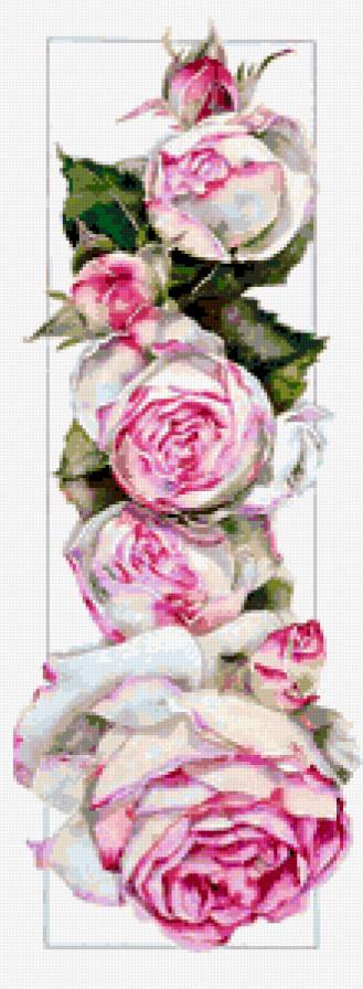 цветы - цветы - предпросмотр