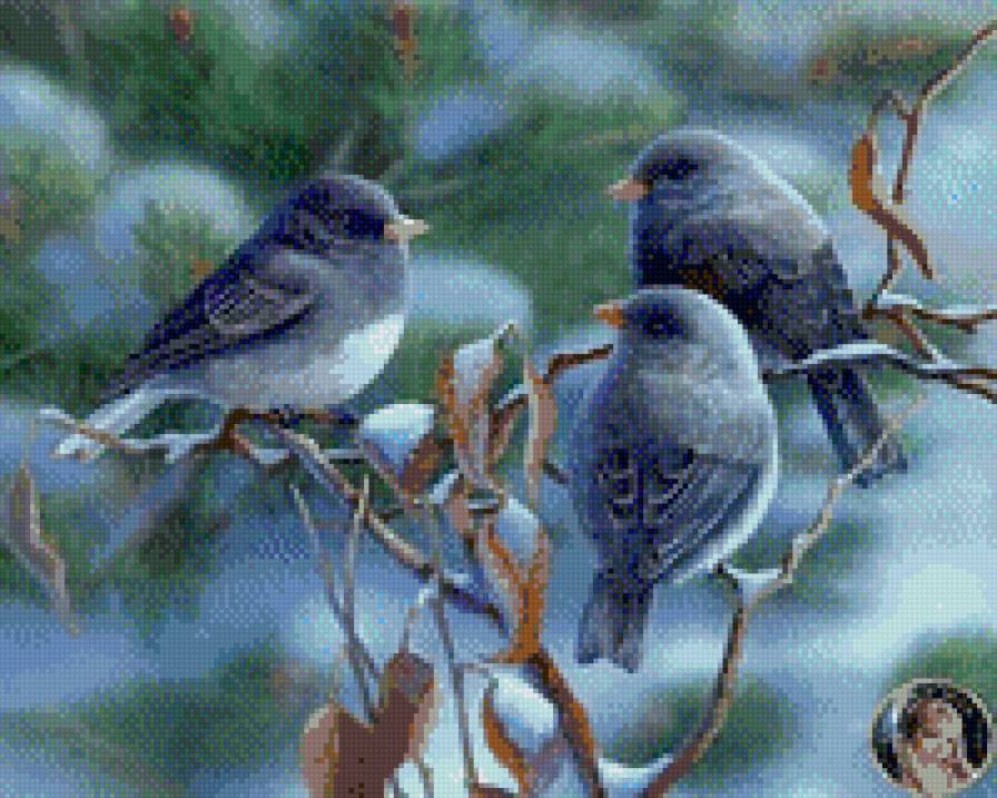 Pajaritos - предпросмотр