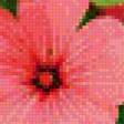 Предпросмотр схемы вышивки «цветы» (№923712)
