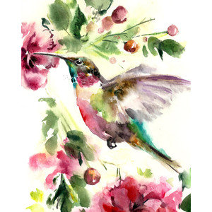 Калибри - акварель, калибри, птичка - оригинал