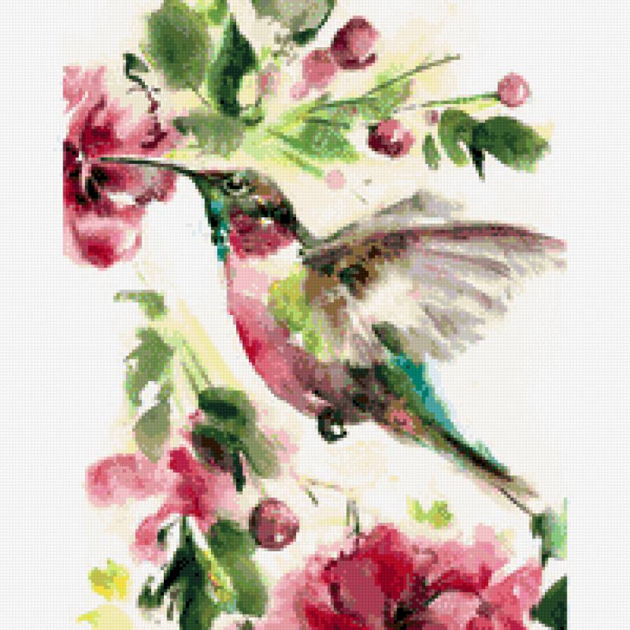 Калибри - птичка, акварель, калибри - предпросмотр