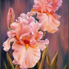 Схема вышивки «ирисы»