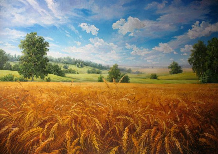 поле - пейзаж, поле, природа - оригинал