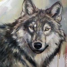 Волк, серый волк