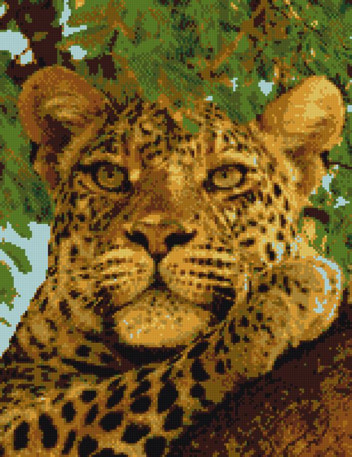 гепард - кошка - предпросмотр