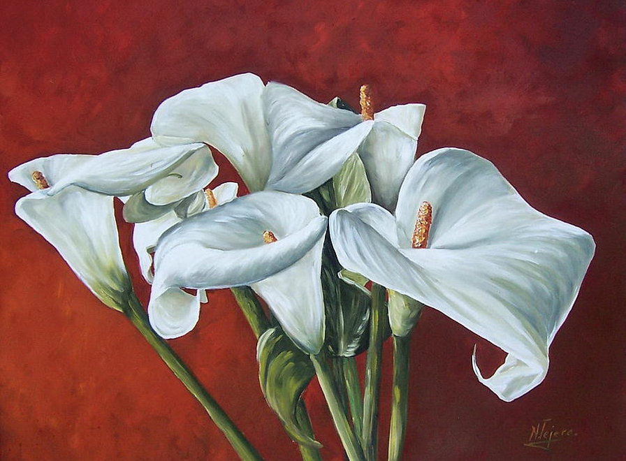 Calas blancas 1 - оригинал