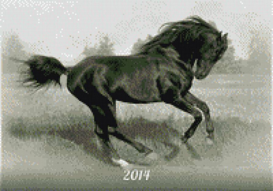 конь - предпросмотр