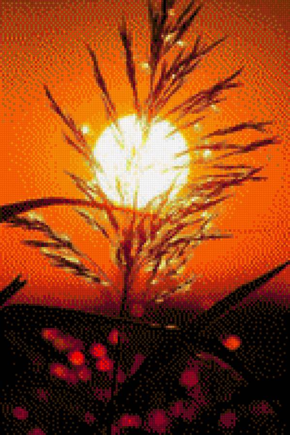 Sol en la noche - предпросмотр