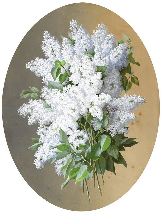 Цветы - цветы - оригинал