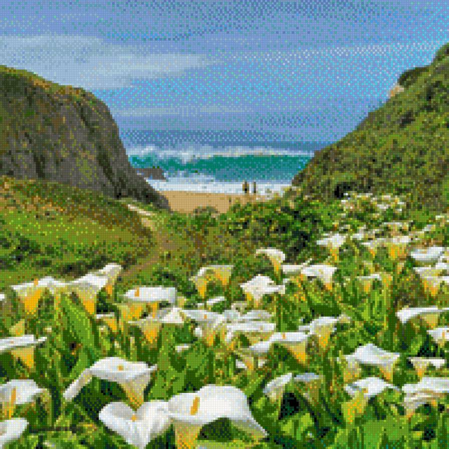 Campo de calas - предпросмотр