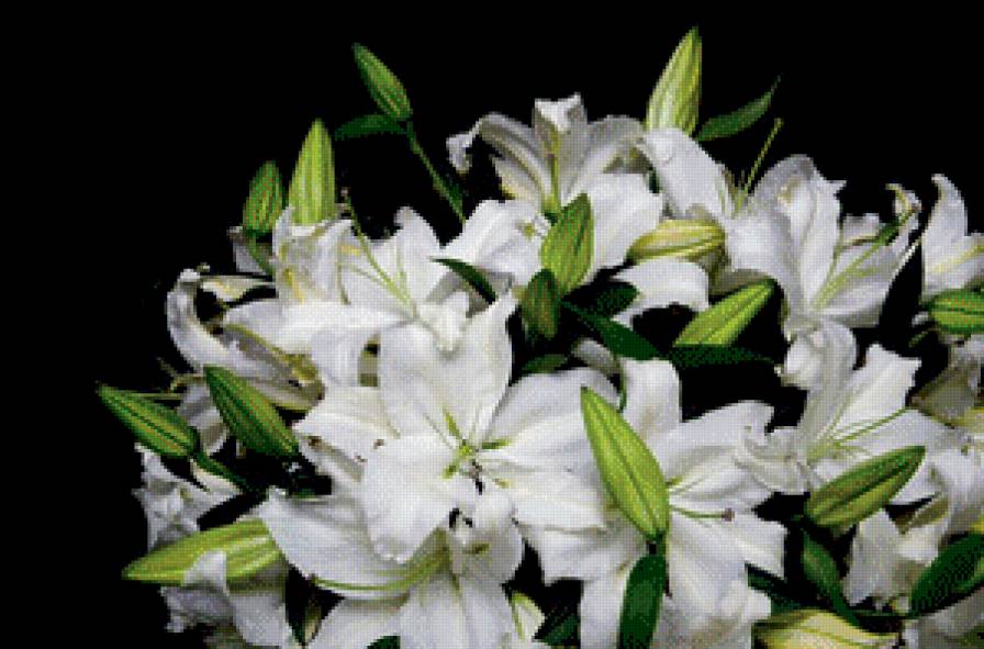 букет лилий - букет, цветы, белые лилии - предпросмотр